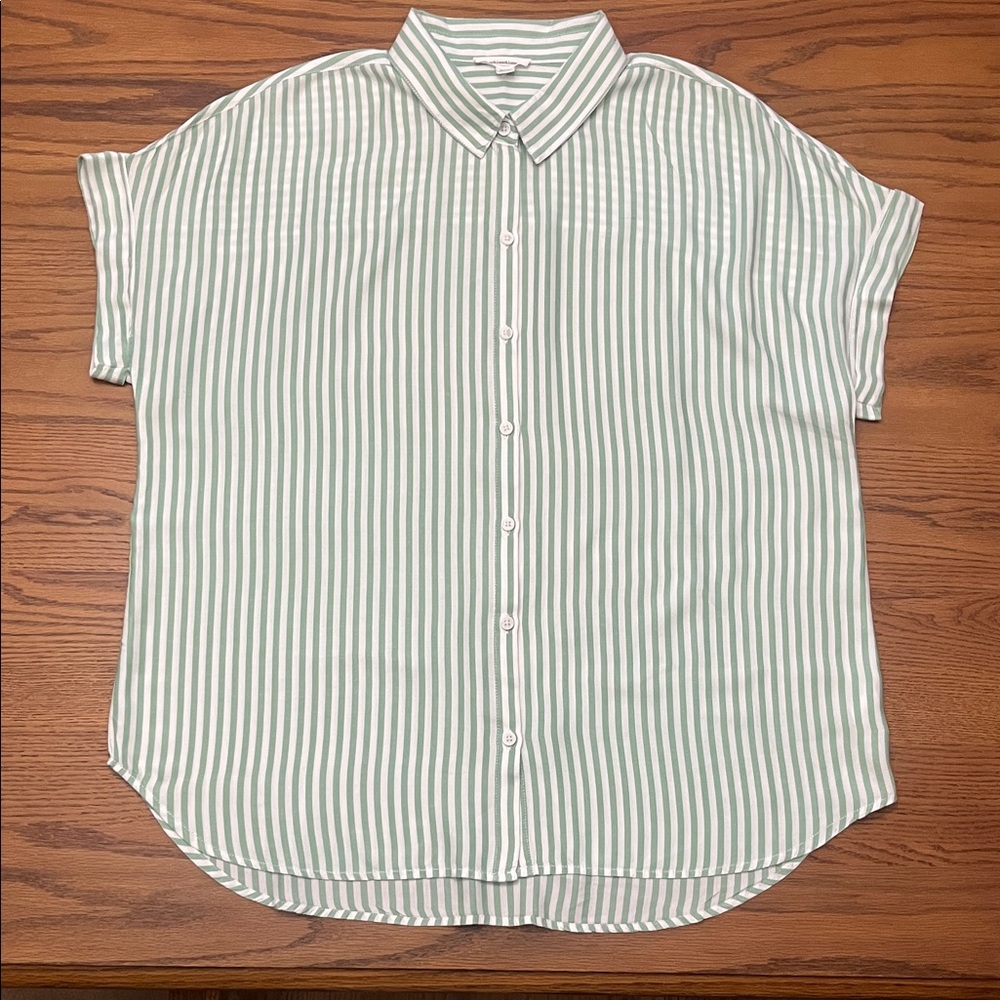 BeachLunchLounge Short-Sleeve Button-Up Shirt in Mint Green Stripe